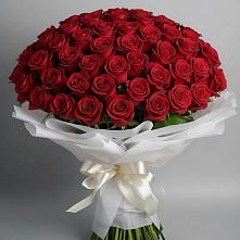 Букет 101 Красная роза Блэк Мэджик в Нагутском
