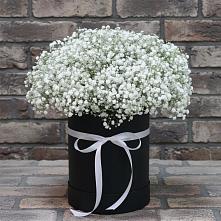 Цветочная композиция из Гипсофила в шляпной коробке #REPLACE_PRED# Нагутском