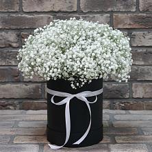 Цветочная композиция из Гипсофила в шляпной коробке в Нагутском