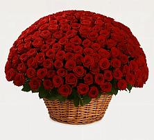 Премиум букет из: Розы в Нагутском